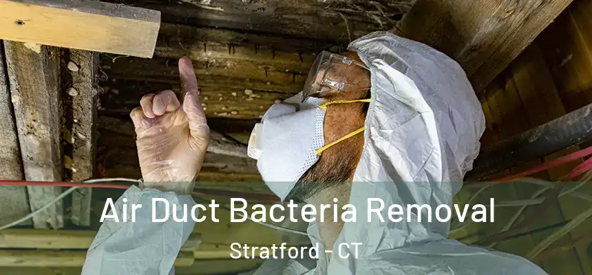  Air Duct Bacteria Removal Stratford - CT