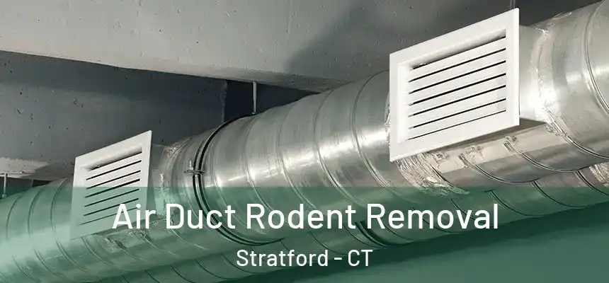 Air Duct Rodent Removal Stratford - CT