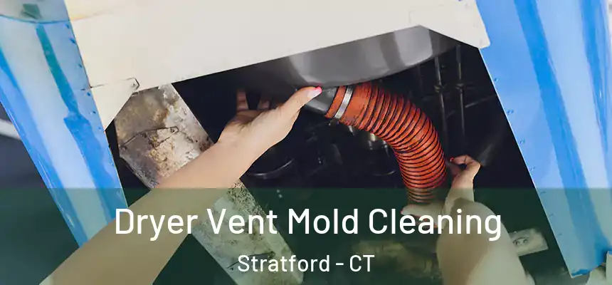  Dryer Vent Mold Cleaning Stratford - CT