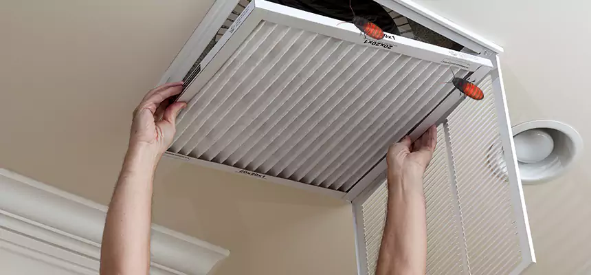 Preventive Cockroach-Proofing for Ducts in Stratford