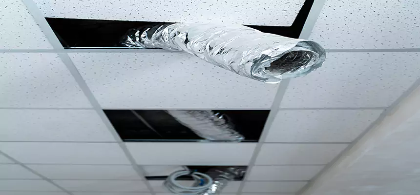 Our Air Duct Pet Hair Removal Services in Stratford, CT