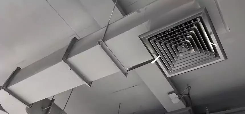 Restorative Allergy Relief Vent Cleaning – Coil, Blower & Housing Detail in Stratford