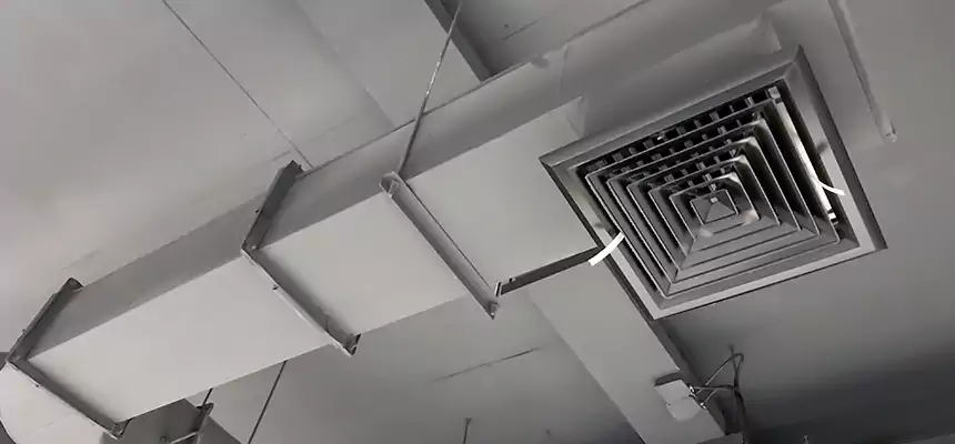 Our Pest Removal From Ducts Services in Stratford, CT