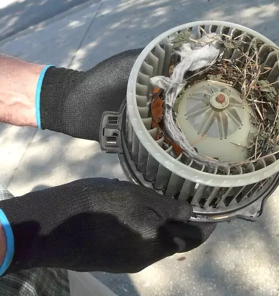 About Air Duct Mice Removal in Stratford, CT