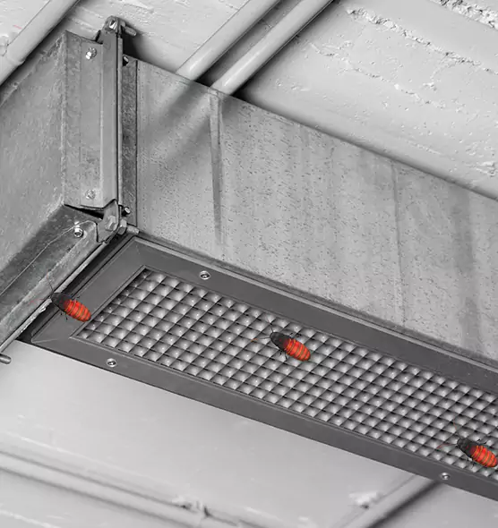 Affordable Insect Removal from Air Ducts in Stratford, CT