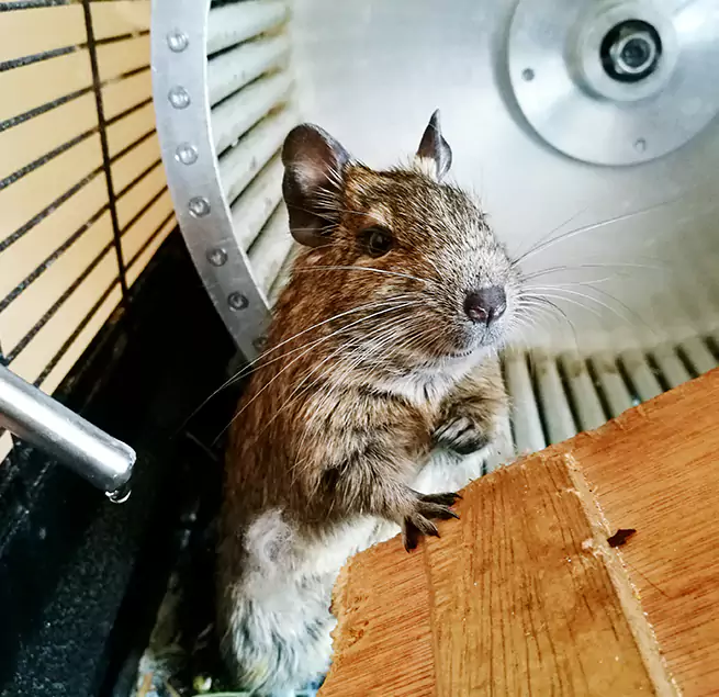 Why Homeowners & Businesses Trust Us Stratford, CT?